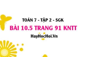 Bài 10.5 trang 91 Toán 7 Tập 2 Kết nối tri thức